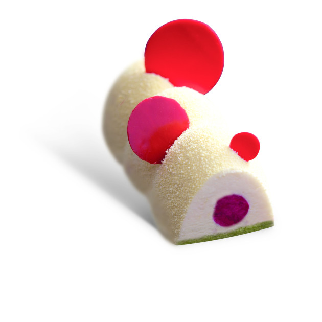 Moule Silicone Professionnel Moule Silicone Professionnel