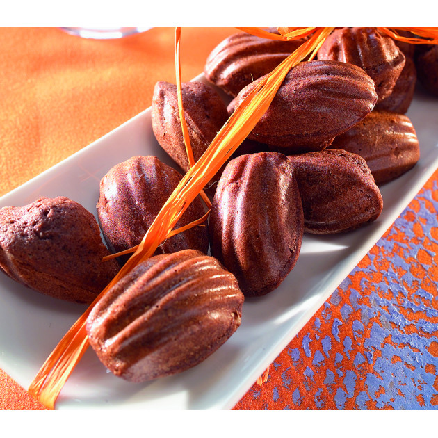 Moule pour Madeleines Professionnel
