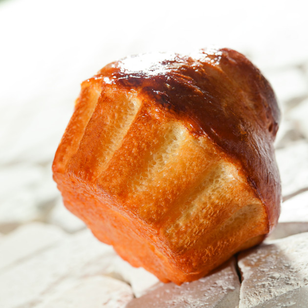 Moule à Gâteaux Professionnel Moule à Gâteaux Professionnel