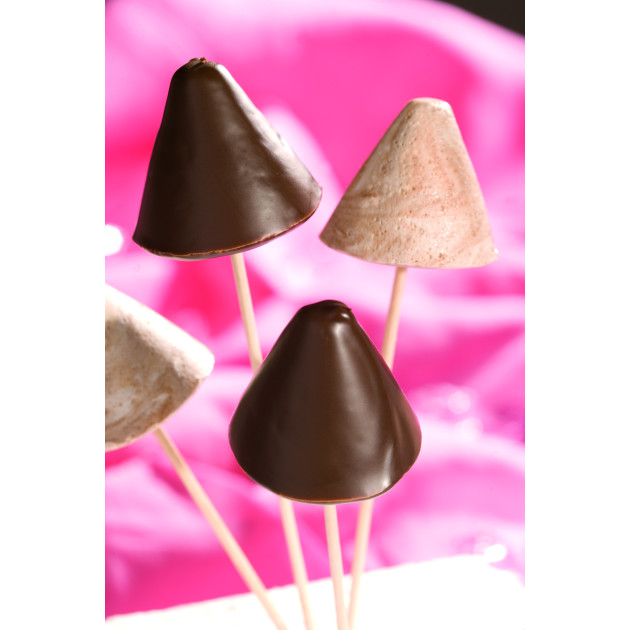 Flexipan Pro Moule Silicone Professionnel Flexipan Pro Moule Silicone Professionnel