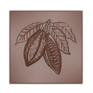Moule Chocolat Carré Cabosse 3 x H 0,5 cm (x21) Chocolate World