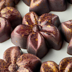 Moule Chocolat Flora 3,8 x 1,2 cm (x24) Pavoni