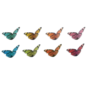 Papillons en Azyme Multicolores Modecor (x240) Papillons en Azyme Multicolores Modecor (x240)