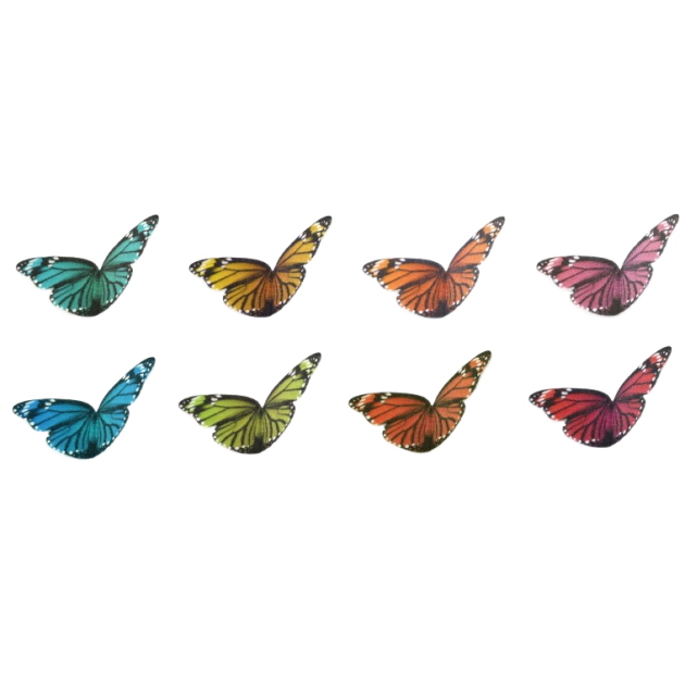 Papillons en Azyme Multicolores Modecor (x240)