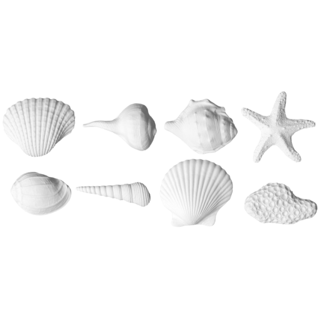 Assortiment Décor Coquillage Blanc Modecor (x8)