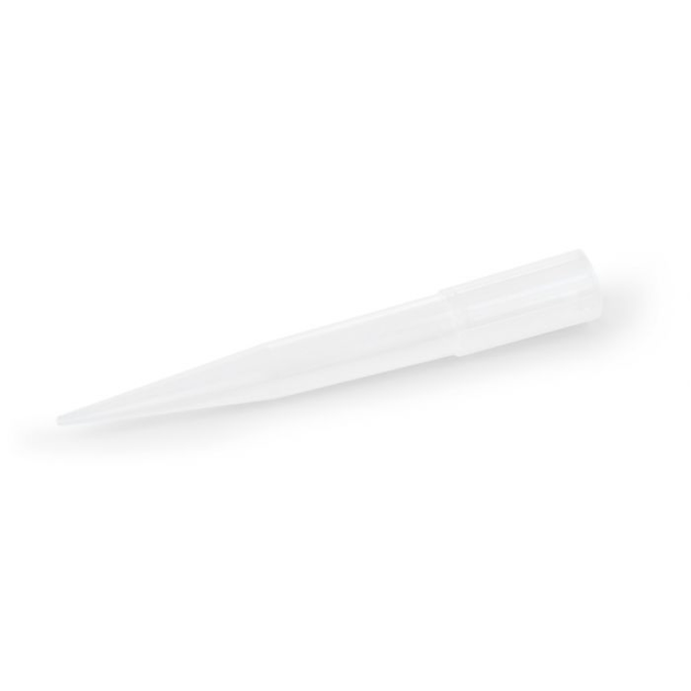 Supports pour Fleur Modecor (x24)