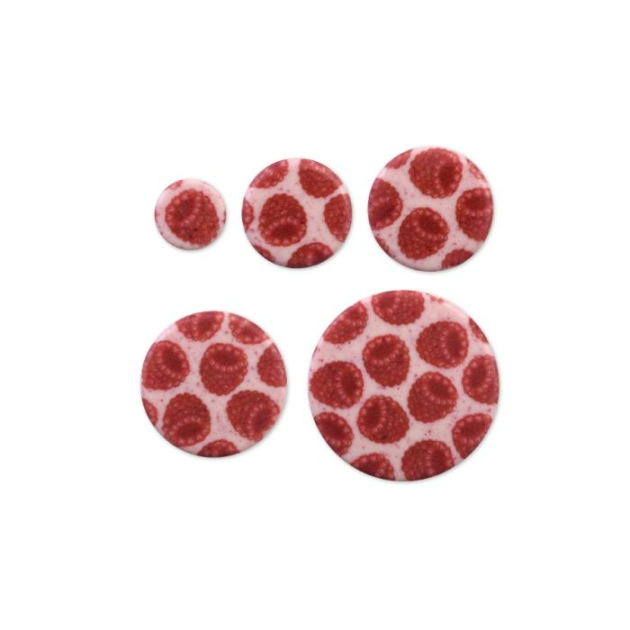 Kit Décors Chocolat Blanc Framboise 5 Tailles Modecor (x20)