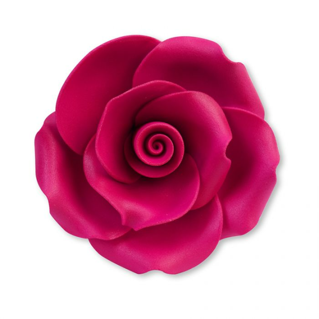 Assortiment Roses en Sucre Fuchsia Modecor (x17)