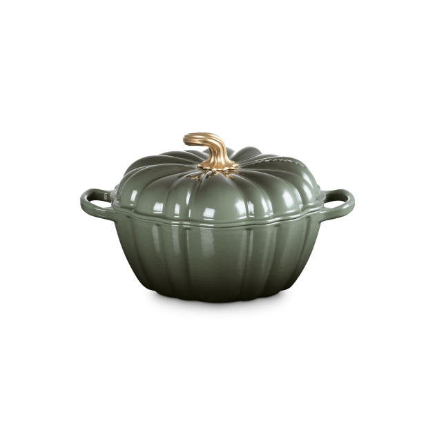 Cocotte tous types de feux