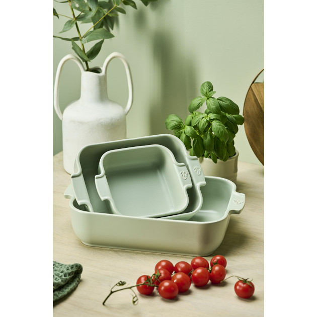 Plat Rectangulaire Peugeot Plat Rectangulaire Peugeot