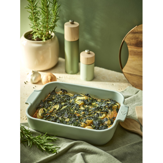 Peugeot Plat pour Four Peugeot Plat pour Four