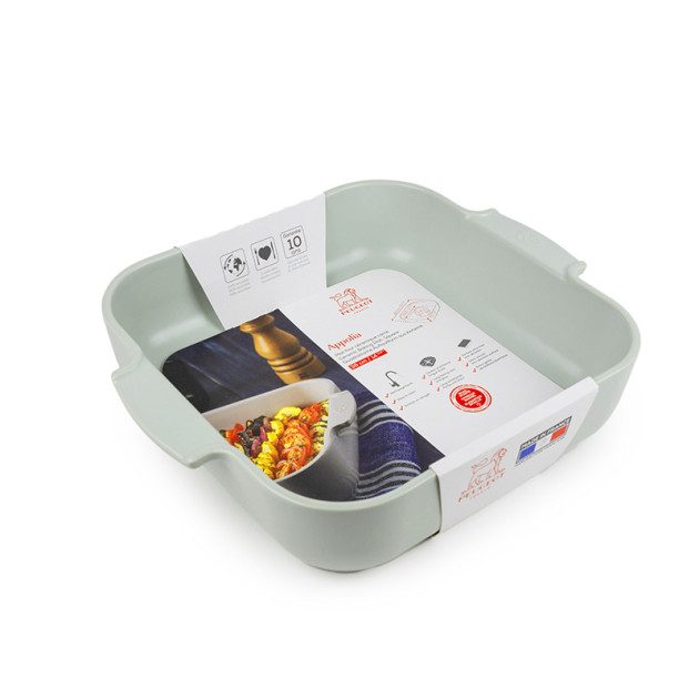 Plat pour Four Appolia Peugeot Plat pour Four Appolia Peugeot