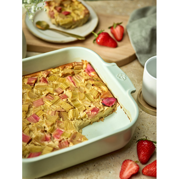 Plat pour Four Peugeot Plat pour Four Peugeot