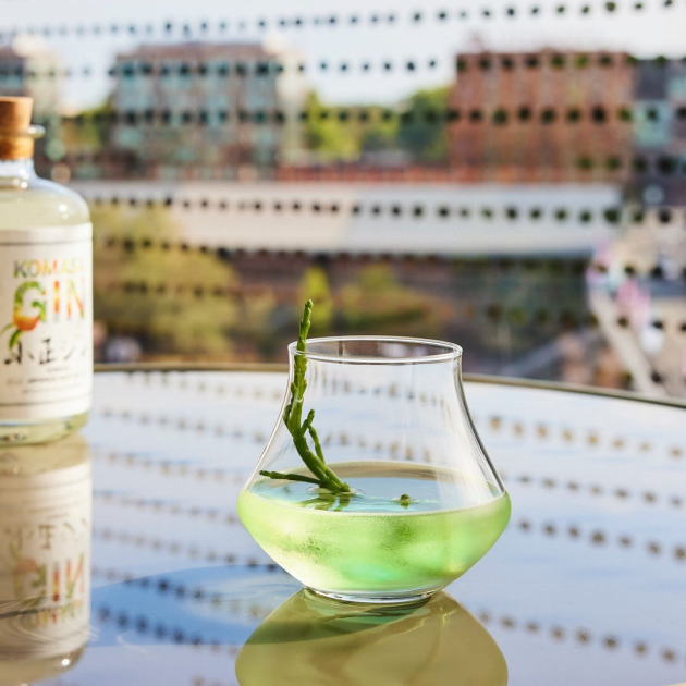 Verre spiritueux Verre spiritueux