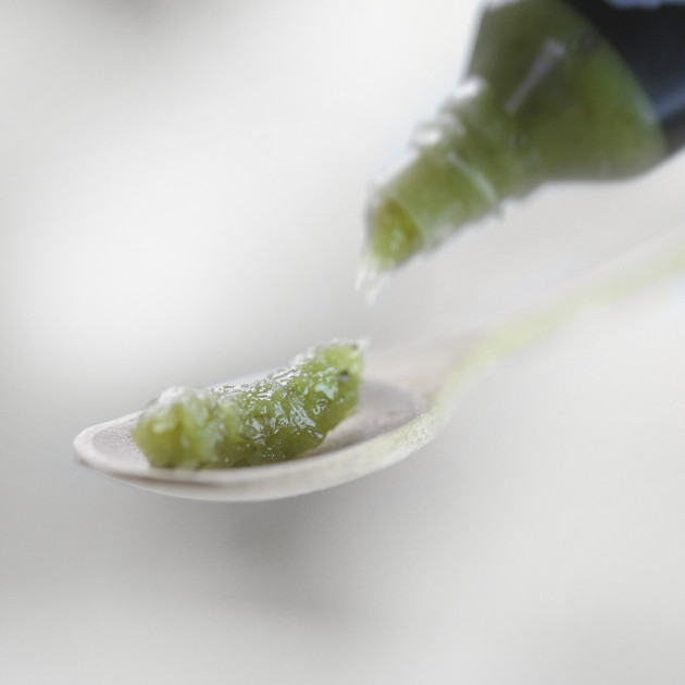 Wasabi en Pâte Nishikidori