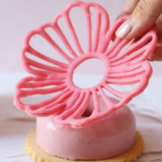 Tapis de Cuisson Silicone