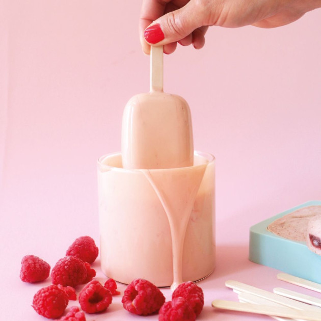 Moule Esquimaux Scrapcooking