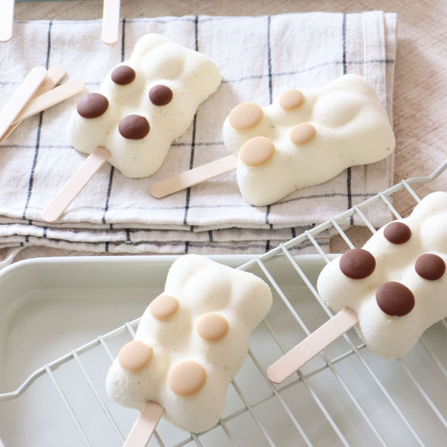 Moule pour Glace Scrapcooking