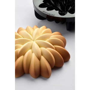 Moule Silicone Éclat Ø 20 x H 6 cm Pavoni