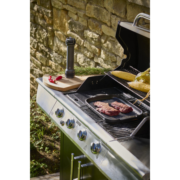 Grill à Viande Peugeot Plancha Barbecue Grill à Viande Peugeot Plancha Barbecue