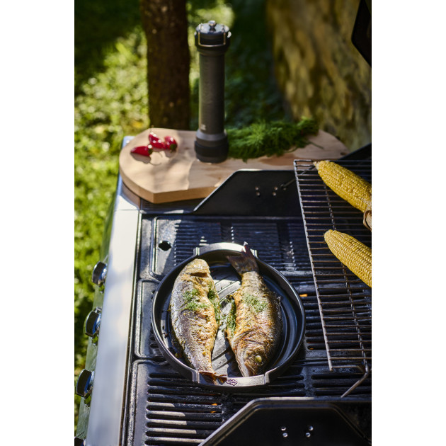 Plancha Céramique Peugeot pour Poisson