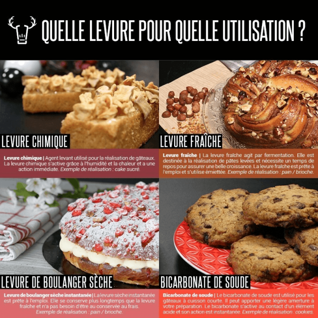  Levure de boulanger