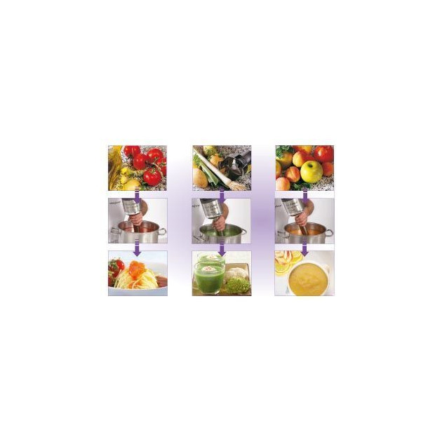 Mixeur Plongeant MP 600 Ultra Robot Coupe Mixeur Plongeant MP 600 Ultra Robot Coupe