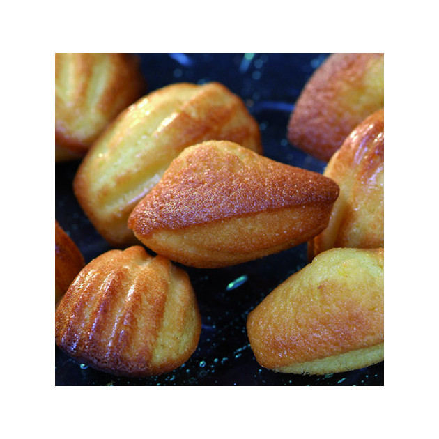 PRIX FOUS Moule empreintes 15 mini madeleines en silicone