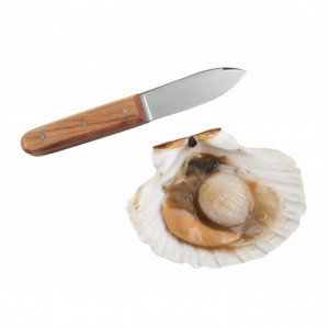 Couteau Coquille Saint Jacques La Bonne Graine Tellier
