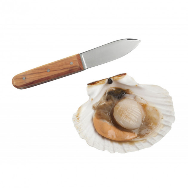 Couteau Coquille Saint Jacques La Bonne Graine Tellier