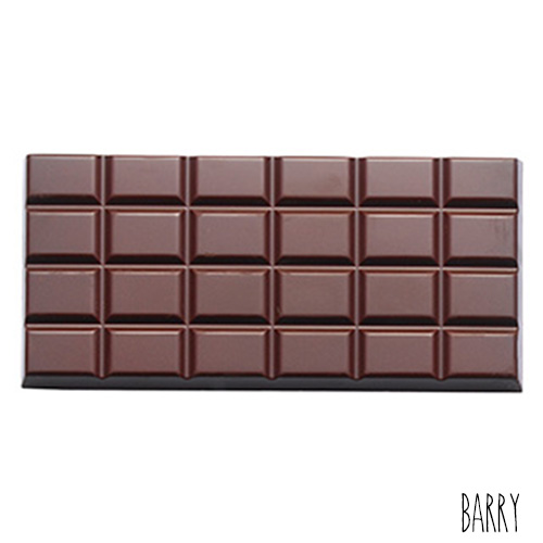 Moule Chocolat Tablette de Chocolat Barry