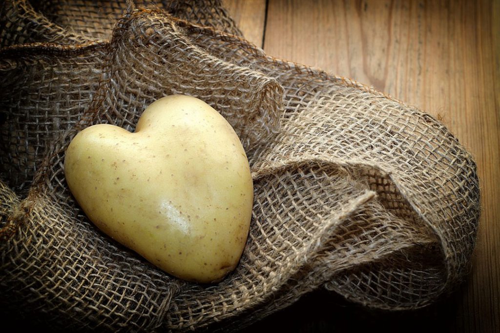 White Label Ustensile de cuisine pour découper des pommes de terre