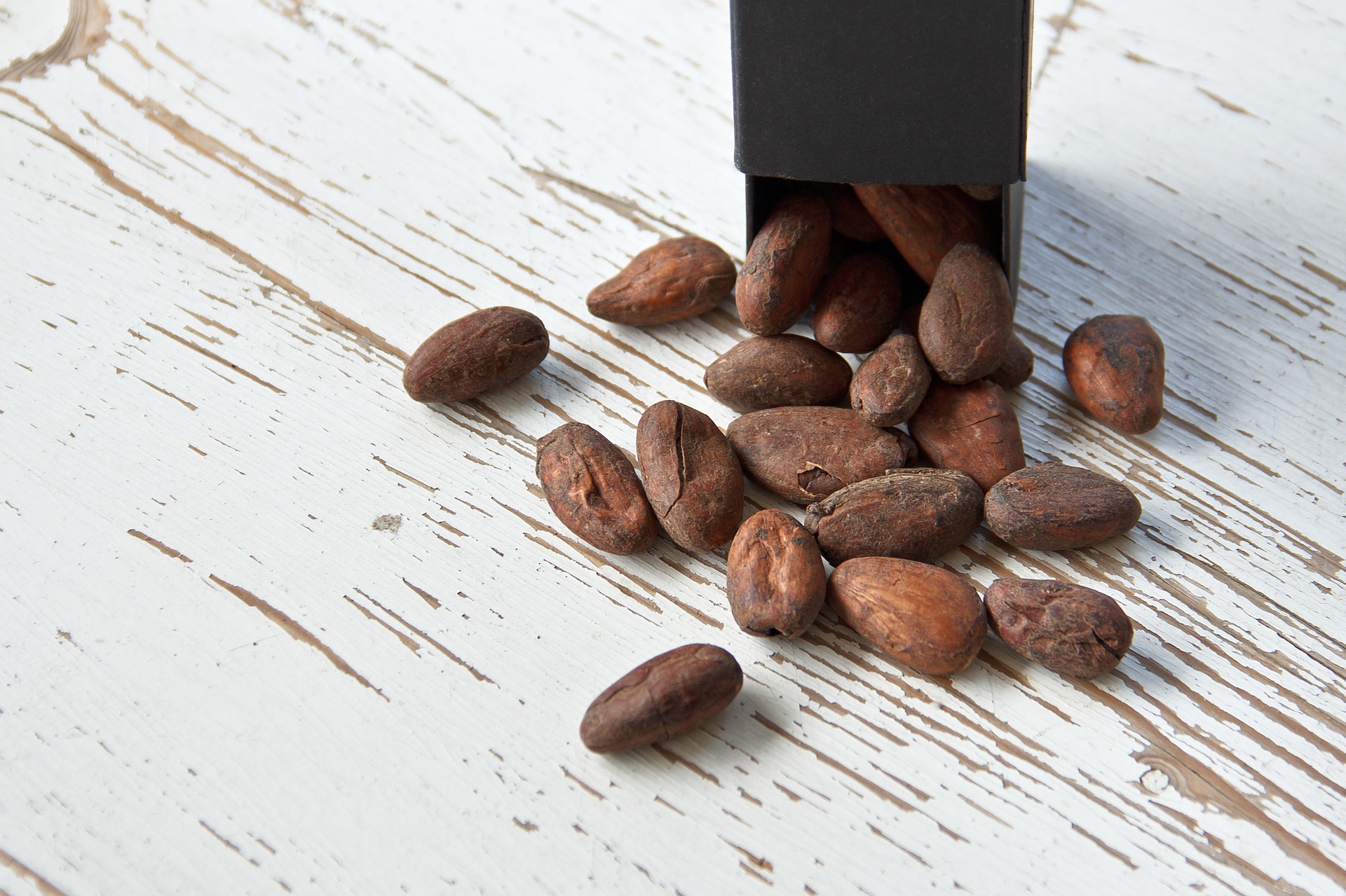 Atelier Bean to Bar au Salon de la Pâtisserie 2019