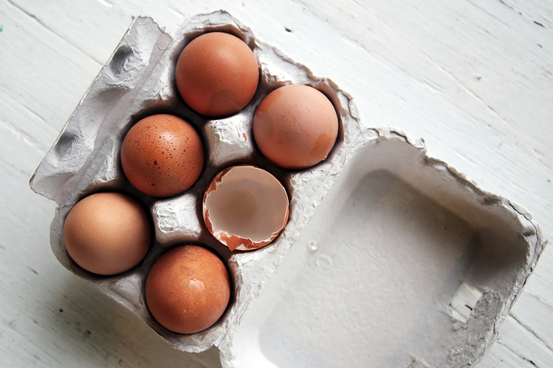 Que faire avec des blancs d’œuf ? (Version salée)