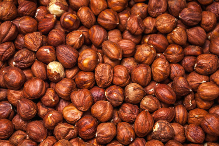 La noisette : ses formes et utilisations