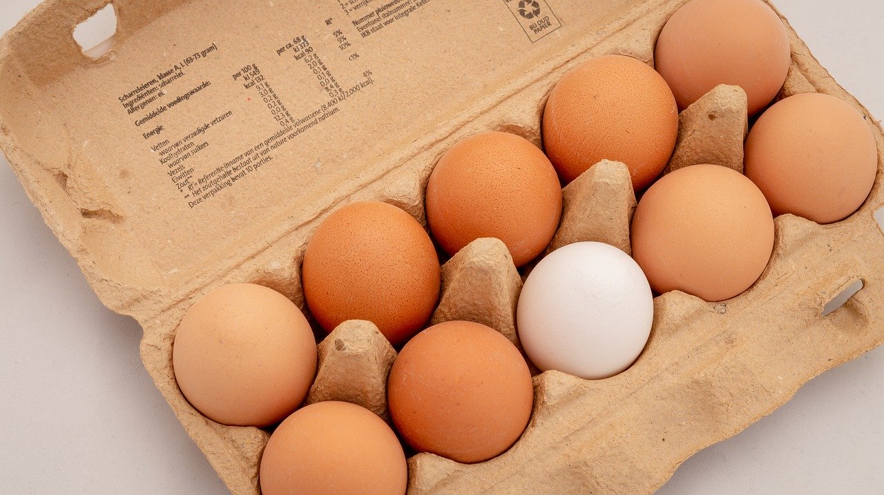 Œufs temps de cuisson, conservation, congélation et astuces