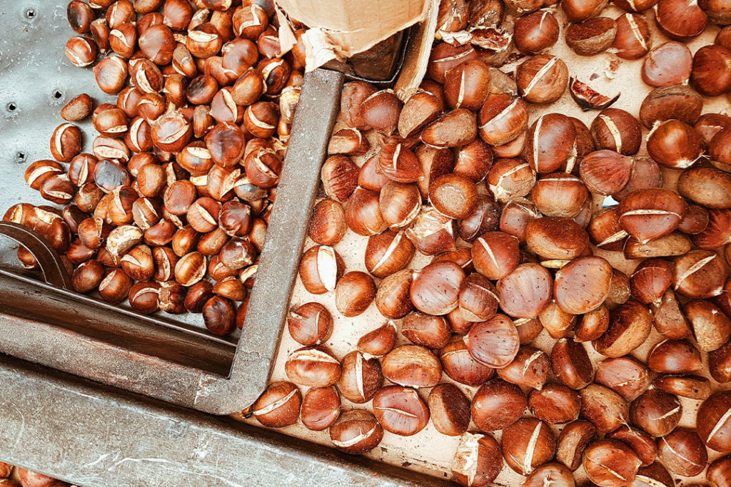 La Chataigne Cuisson Epluchage Et Conservation