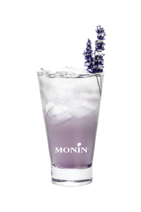 Recette Boisson Gazeuse Monin