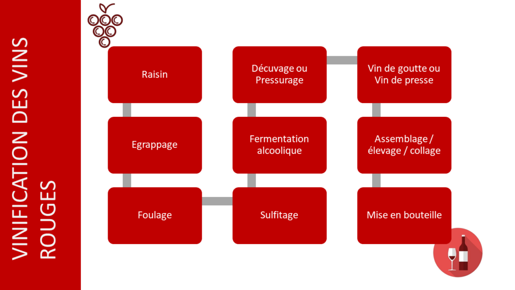 Vinification du vin rouge