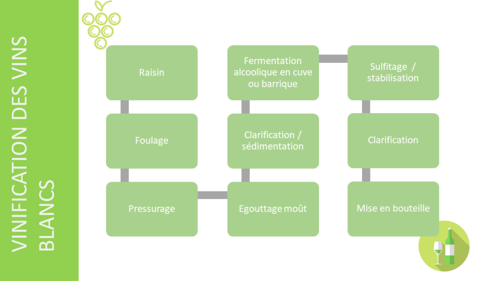 Tout savoir sur les types de vins