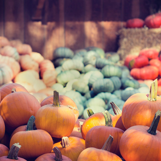 Produits d'automne