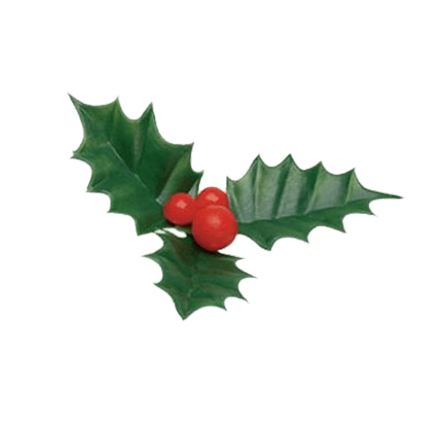 Décoration Gâteau Noël