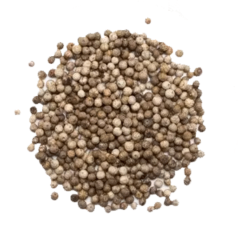 Grains de poivre blanc